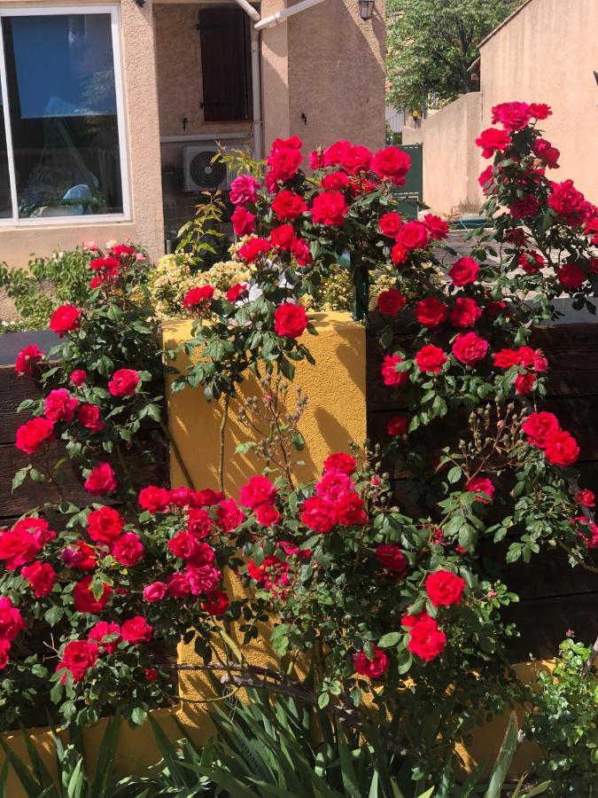 Chez Guy Bed & Breakfast Marsilya Dış mekan fotoğraf
